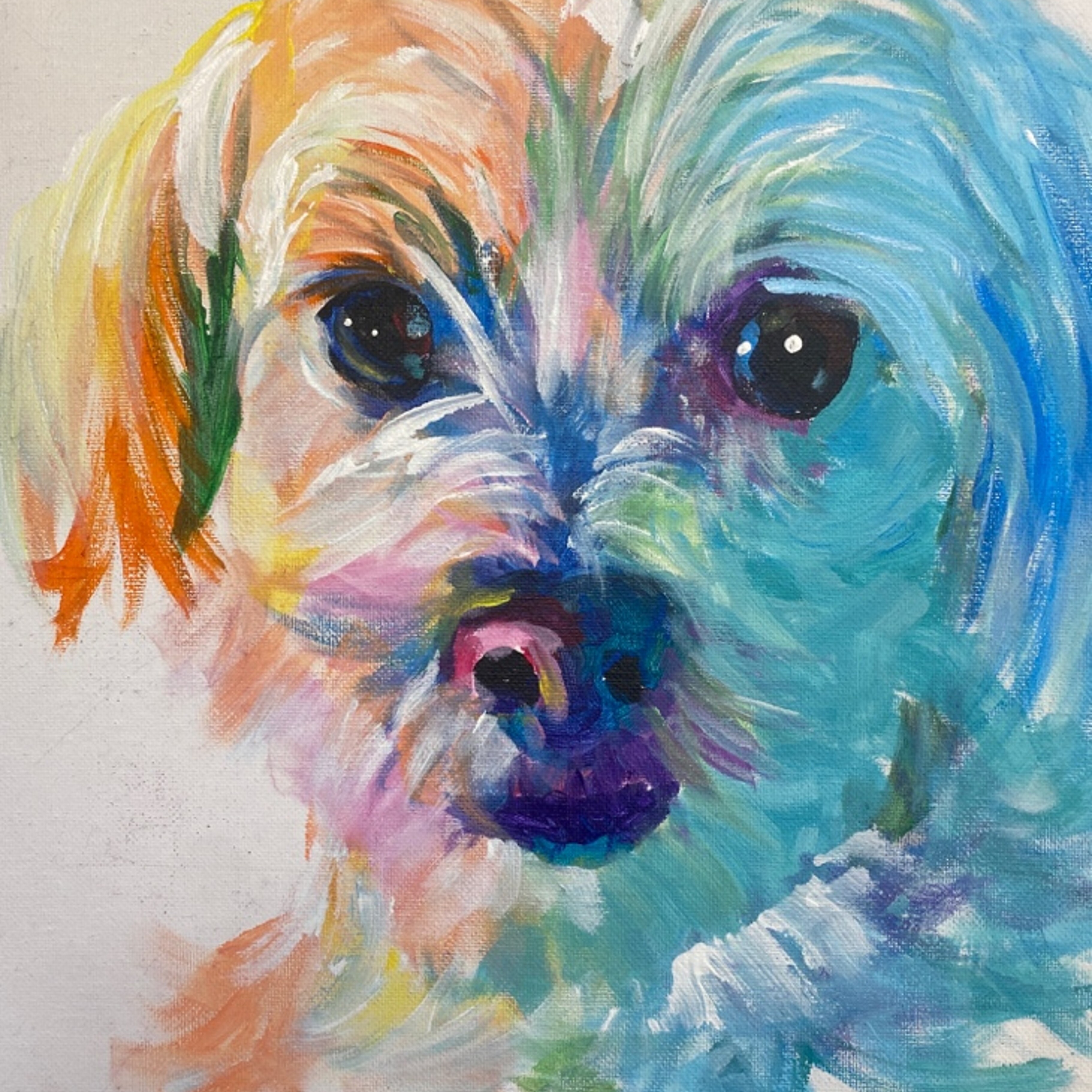 Colorful Pet Portraits Workshop - logo